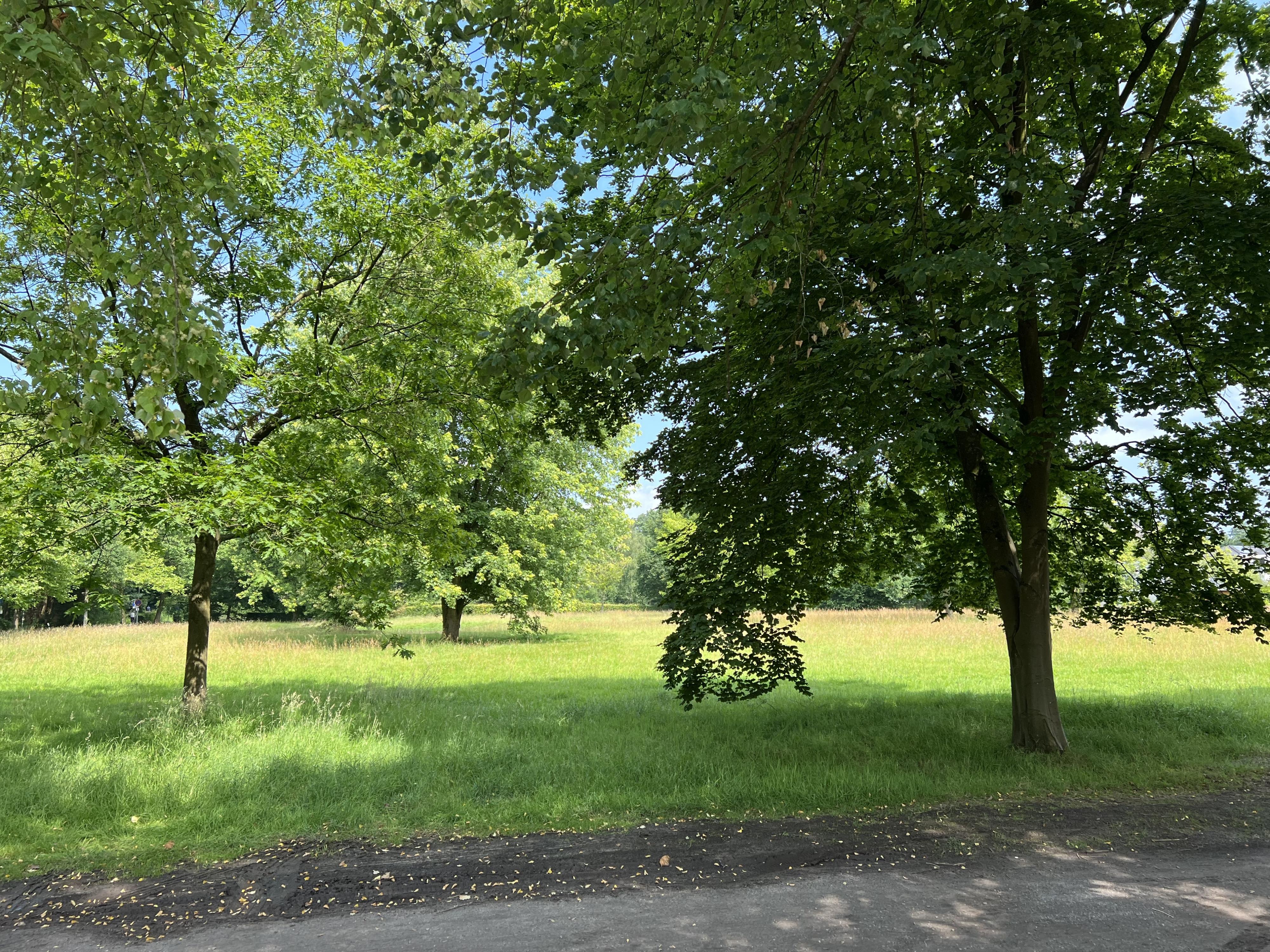 Ahrenshof W 14